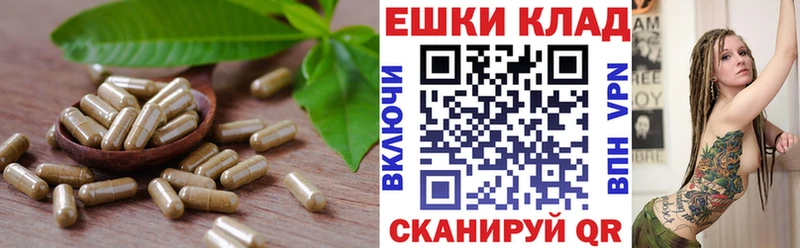 Ecstasy louis Vuitton  Углегорск 