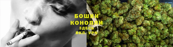 дживик Слюдянка