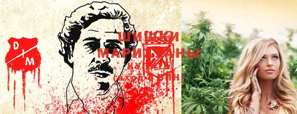 дживик Слюдянка